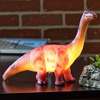 Dinosaur Lamps