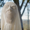 Disappearing Ghost Figure Illusion