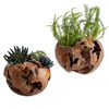 Distressed Teak Wood Spherical Planters / Display Bowls