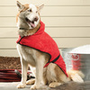 Dog Bathrobes