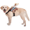 Dog Riders Pet Costumes