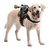 Dog Riders Pet Costumes