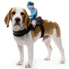 Dog Riders Pet Costumes