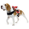 Dog Riders Pet Costumes