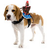 Dog Riders Pet Costumes