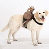 Dog Riders Pet Costumes