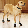 Dog Traction Socks