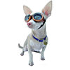 Doggles - Stylish Protective Eyewear for Dogs
