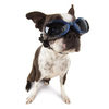 Doggles - Stylish Protective Eyewear for Dogs