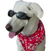 Doggles - Stylish Protective Eyewear for Dogs