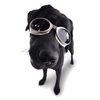 Doggles - Stylish Protective Eyewear for Dogs