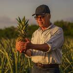 Dole Colada Royale Pineapple - Tastes Like a Piña Colada!