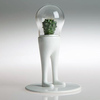 Domsai Terrariums