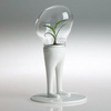 Domsai Terrariums