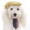 Donald Trump Wig Dog Costume