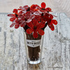 A Dozen Beef Jerky Roses