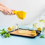 Dreamfarm Fluicer - Fold Flat / Easy Squeeze Citrus Juicer