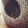 Drop - Whimsical Wooly Cat Cave