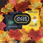 DUDE Wipes Pumpkin Spice Flushable Wipes