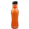 EcoUsable Ech2o - Stainless Steel Filtered Water Bottles