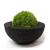 Eco Pochi Kokedama Moss Ball Pot
