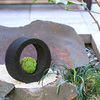 Eco Pochi Kokedama Moss Ball Ring