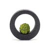 Eco Pochi Kokedama Moss Ball Ring