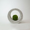 Eco Pochi Kokedama Moss Ball Ring