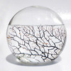 EcoSphere - Closed Aquatic Ecosystem