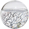 EcoSphere - Closed Aquatic Ecosystem