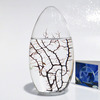 EcoSphere - Closed Aquatic Ecosystem