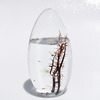 EcoSphere - Closed Aquatic Ecosystem