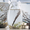EcoSphere - A Living World in Your Hands