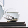 EcoSphere - A Living World in Your Hands