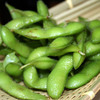 Edamame Growing Kit