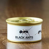 Edible Black Ants