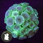 Eerie Glow-in-the-Dark Roses