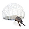 eiCrate - Modern Dog Crate