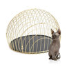 eiCrate - Modern Dog Crate