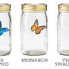 Electronic Butterfly in a Jar