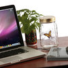 Electronic Butterfly in a Jar