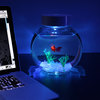 Electronic Goldfish in a Bowl