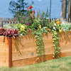 Elevated Cedar Raised Garden Beds