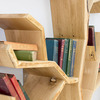 Elm Tree Bookshelf