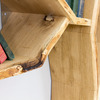 Elm Tree Bookshelf