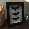 Emergency Batarangs