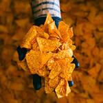 Empirical x Doritos Nacho Cheese Vacuum Distilled Spirit