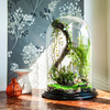 Enchanted Forest Terrarium Domes