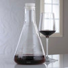 Erlenmeyer Flask Lab Wine Decanter