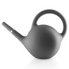 Eva Solo Globe Watering Can